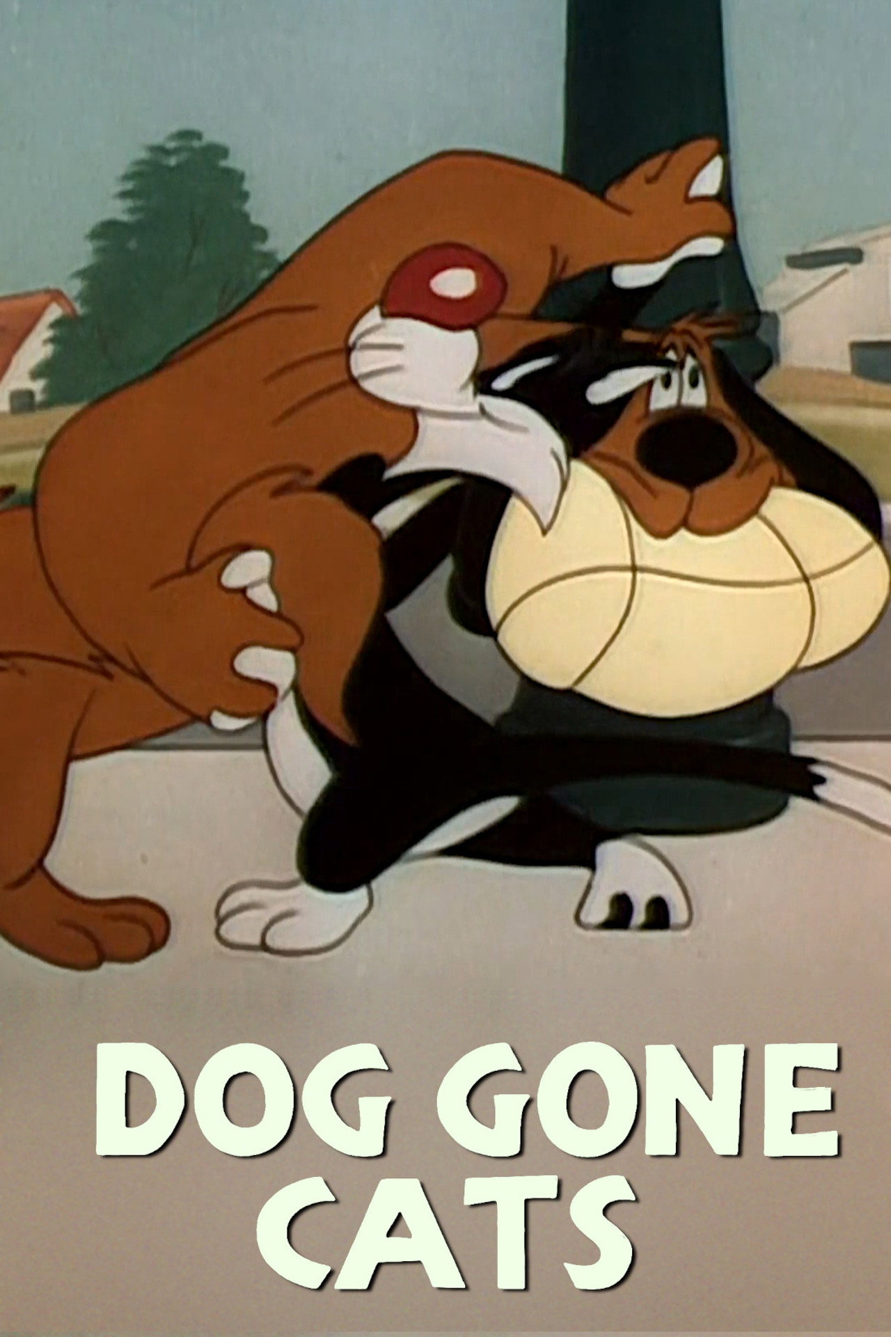 Pôster de Doggone Cats