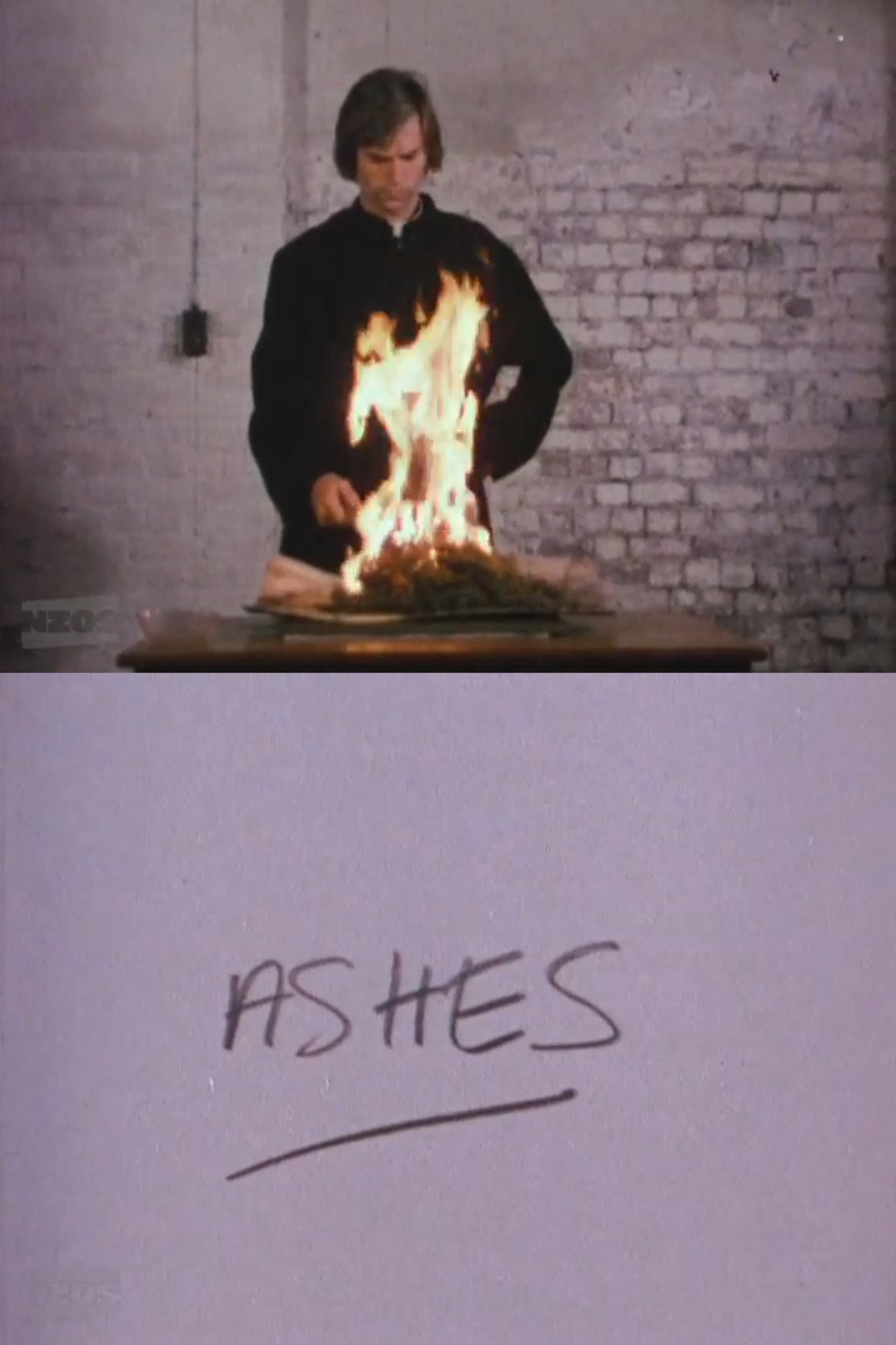 Pôster de Ashes