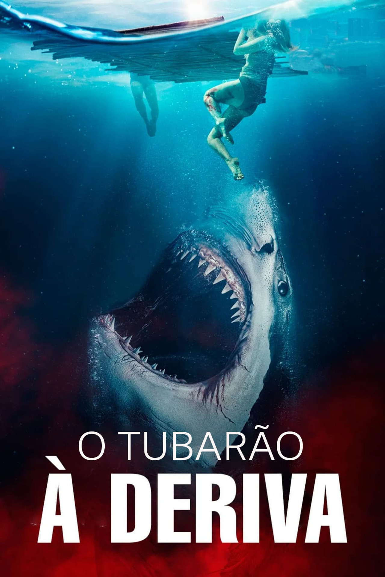 Pôster de O Tubarão: À Deriva