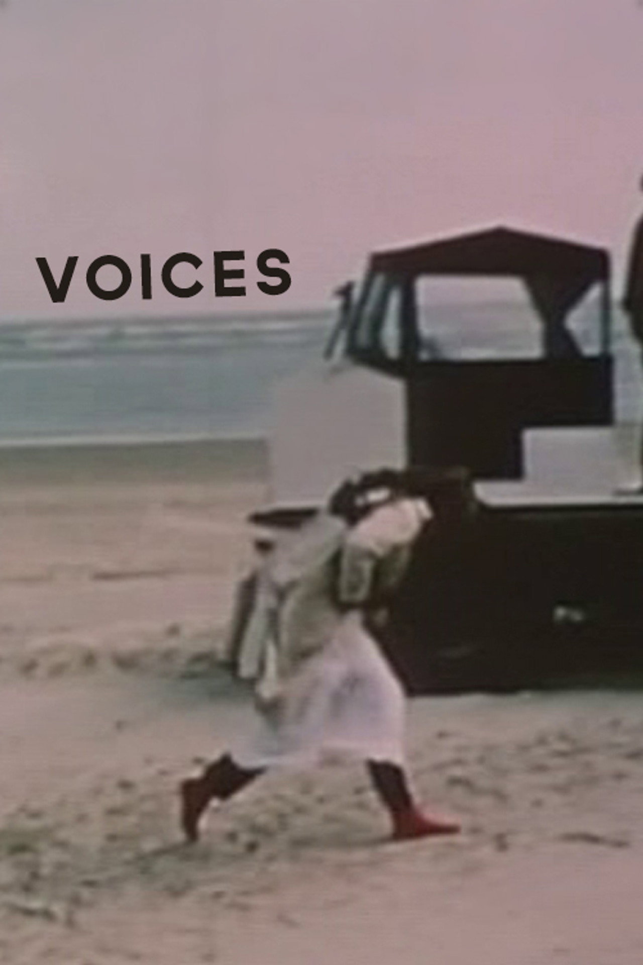 Pôster de Voices
