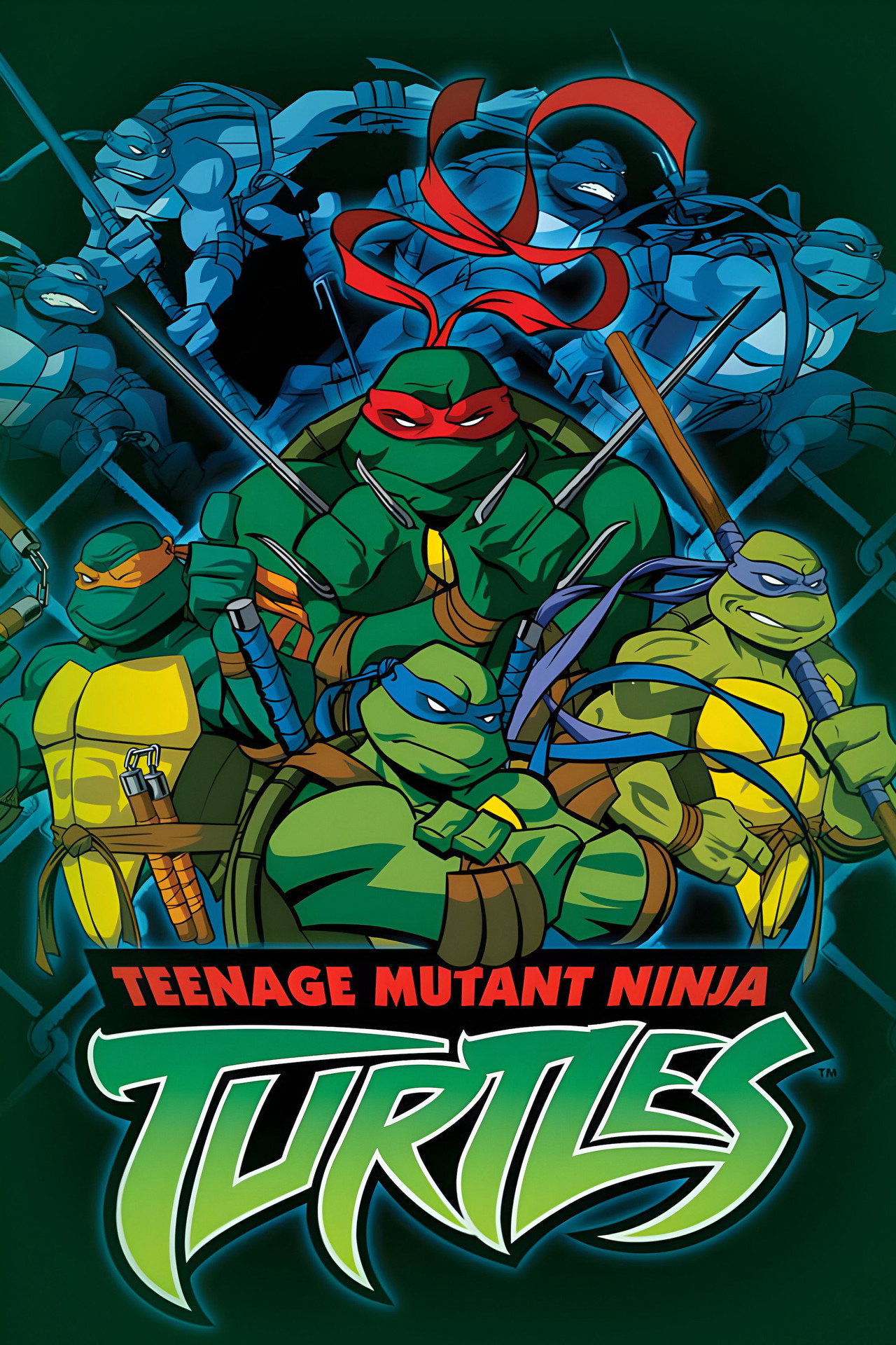Pôster de Teenage Mutant Ninja Turtles