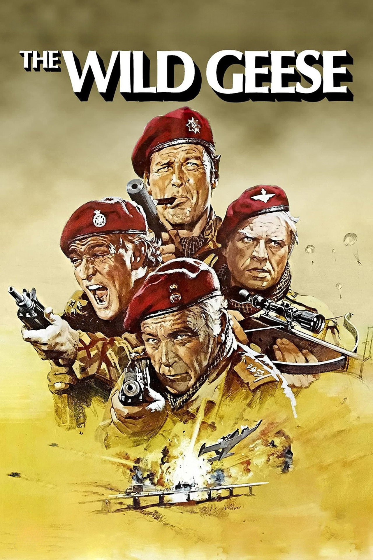 Pôster de The Wild Geese
