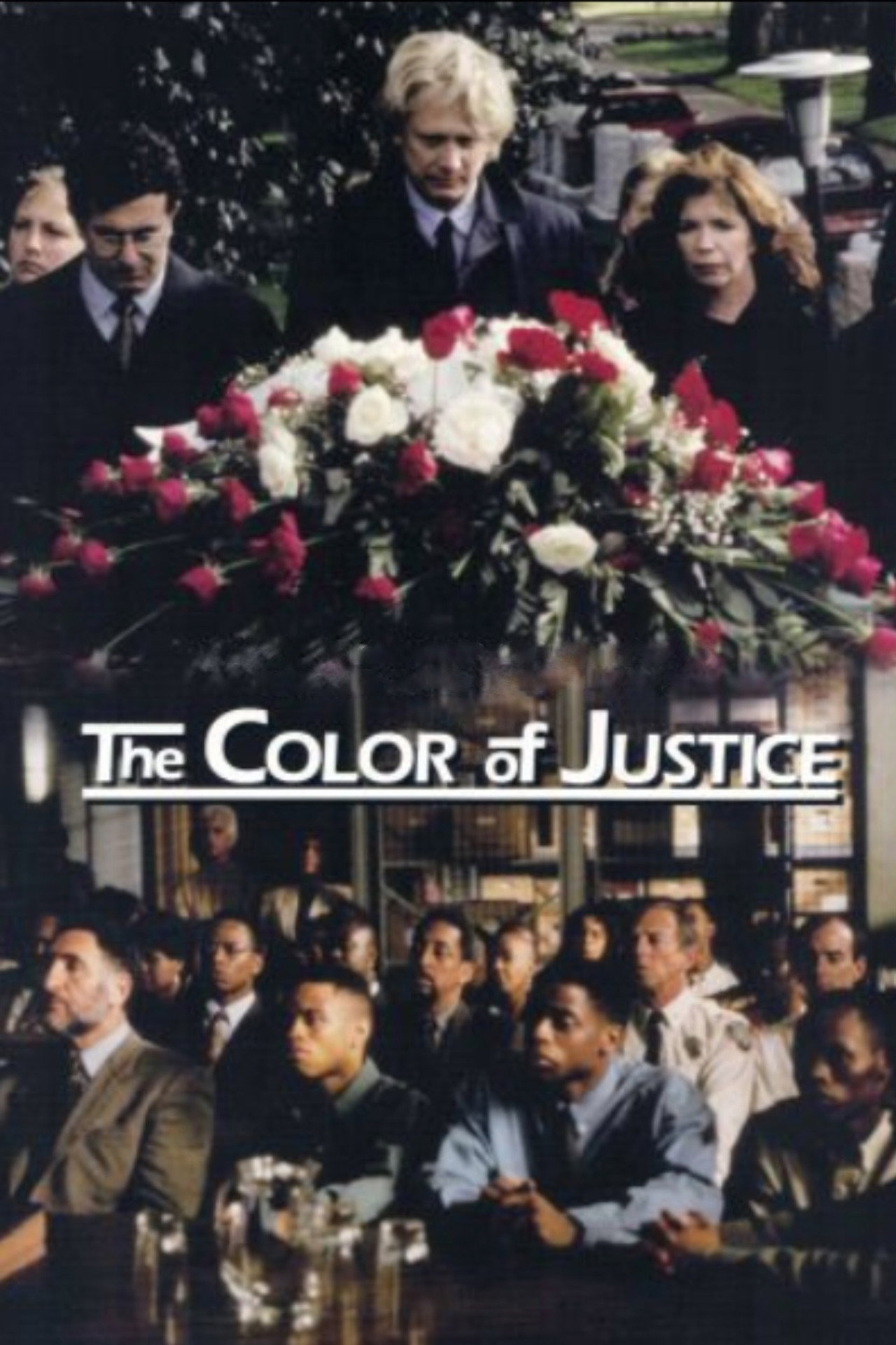 Pôster de Color of Justice