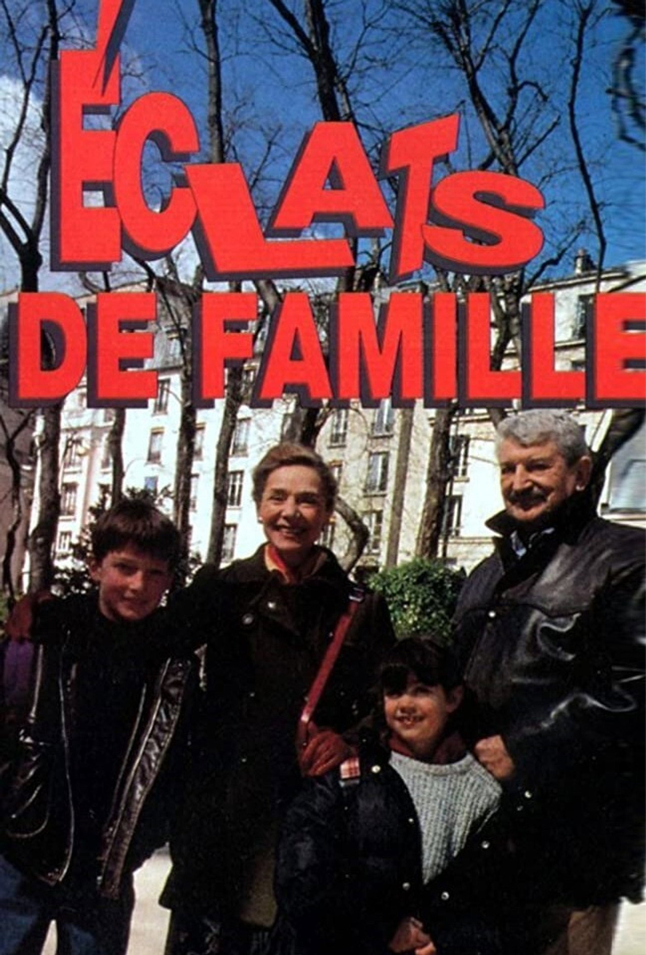 Pôster de Éclats de famille