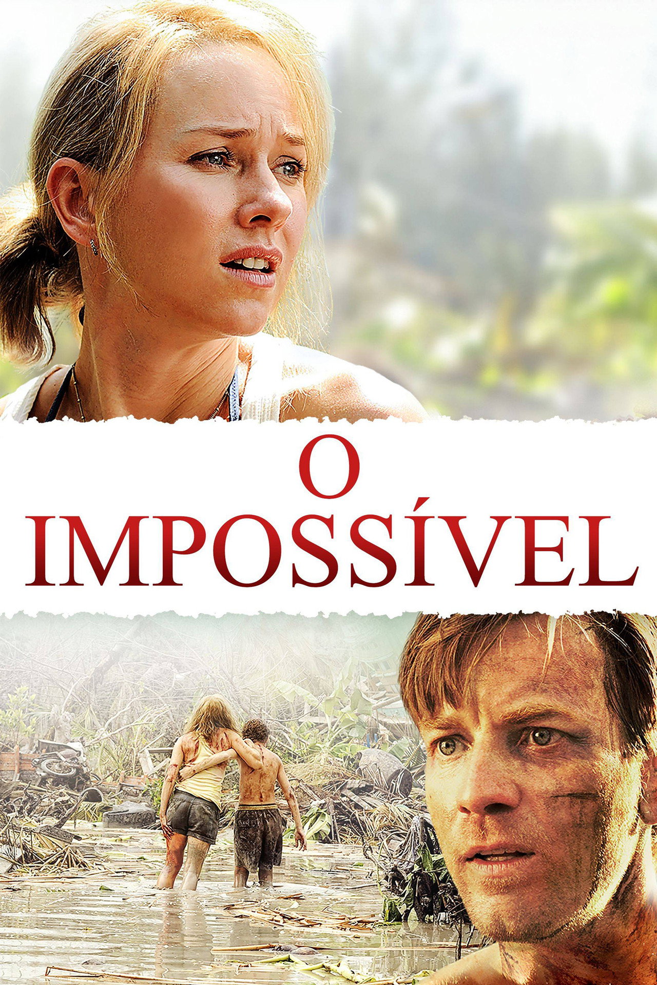 Pôster de O Impossível