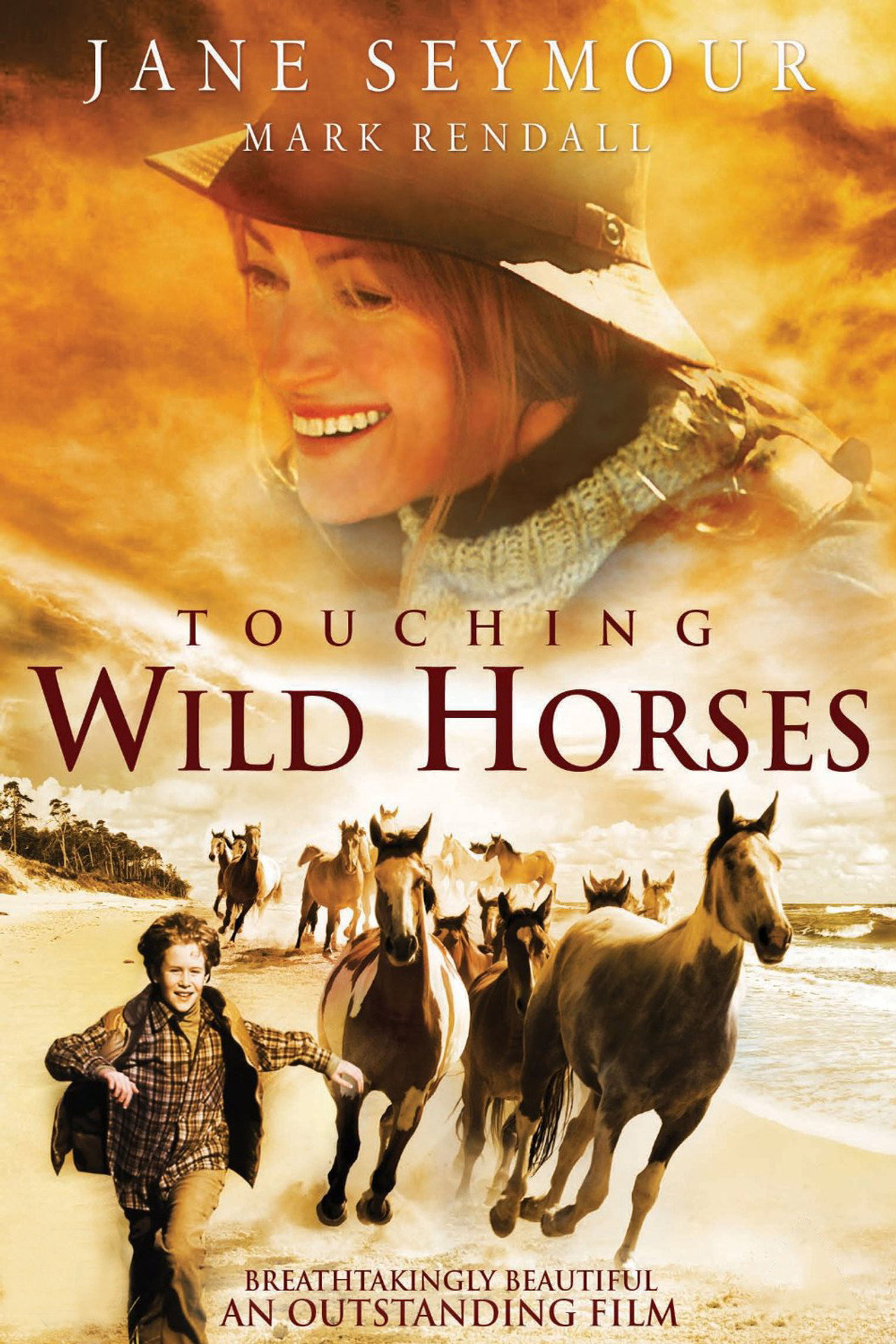 Pôster de Touching Wild Horses