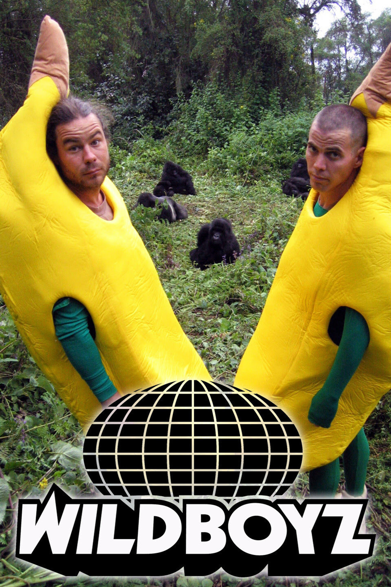 Pôster de Wildboyz