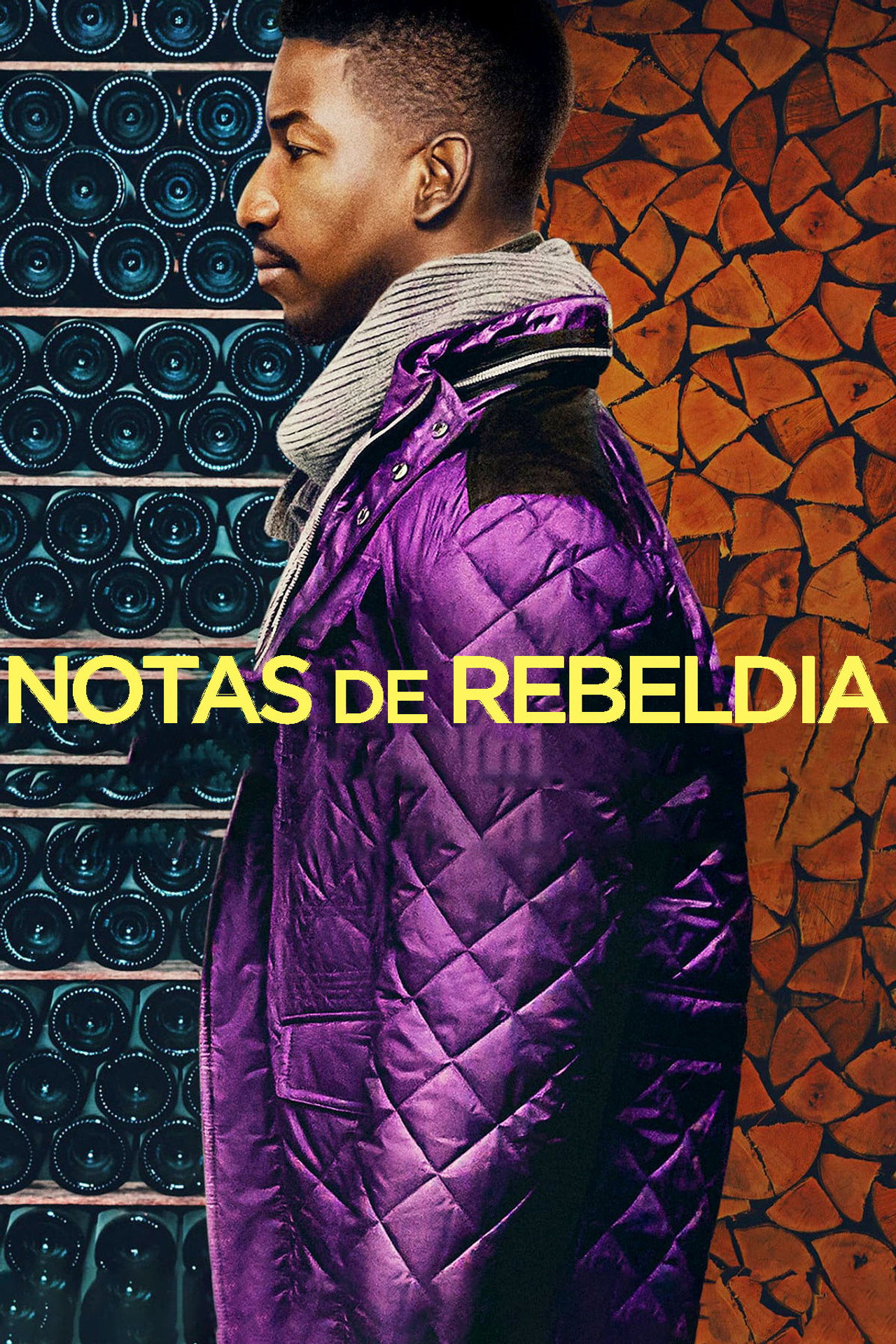 Pôster de Notas de Rebeldia