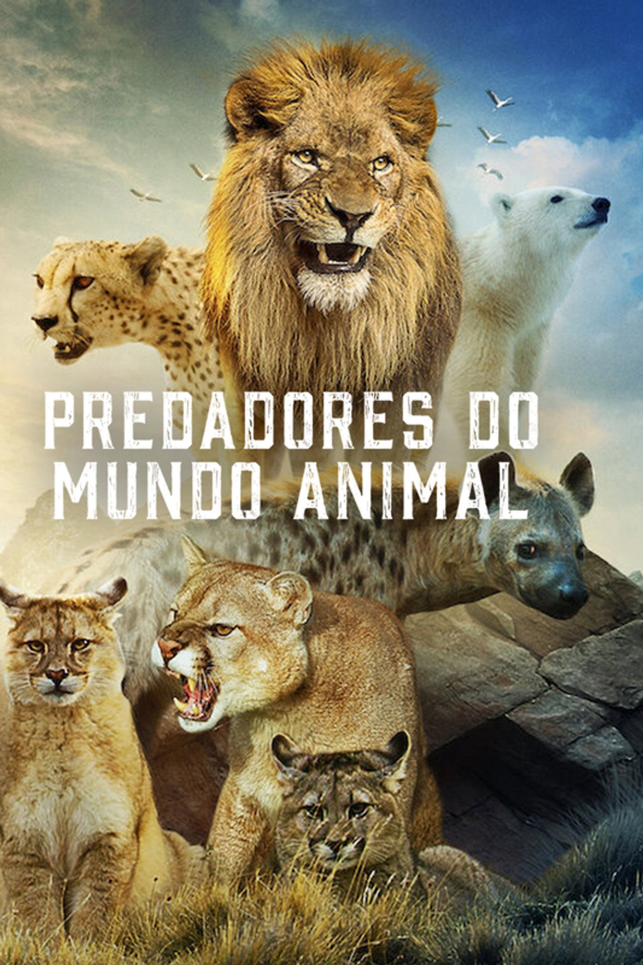 Pôster de Predadores do Mundo Animal