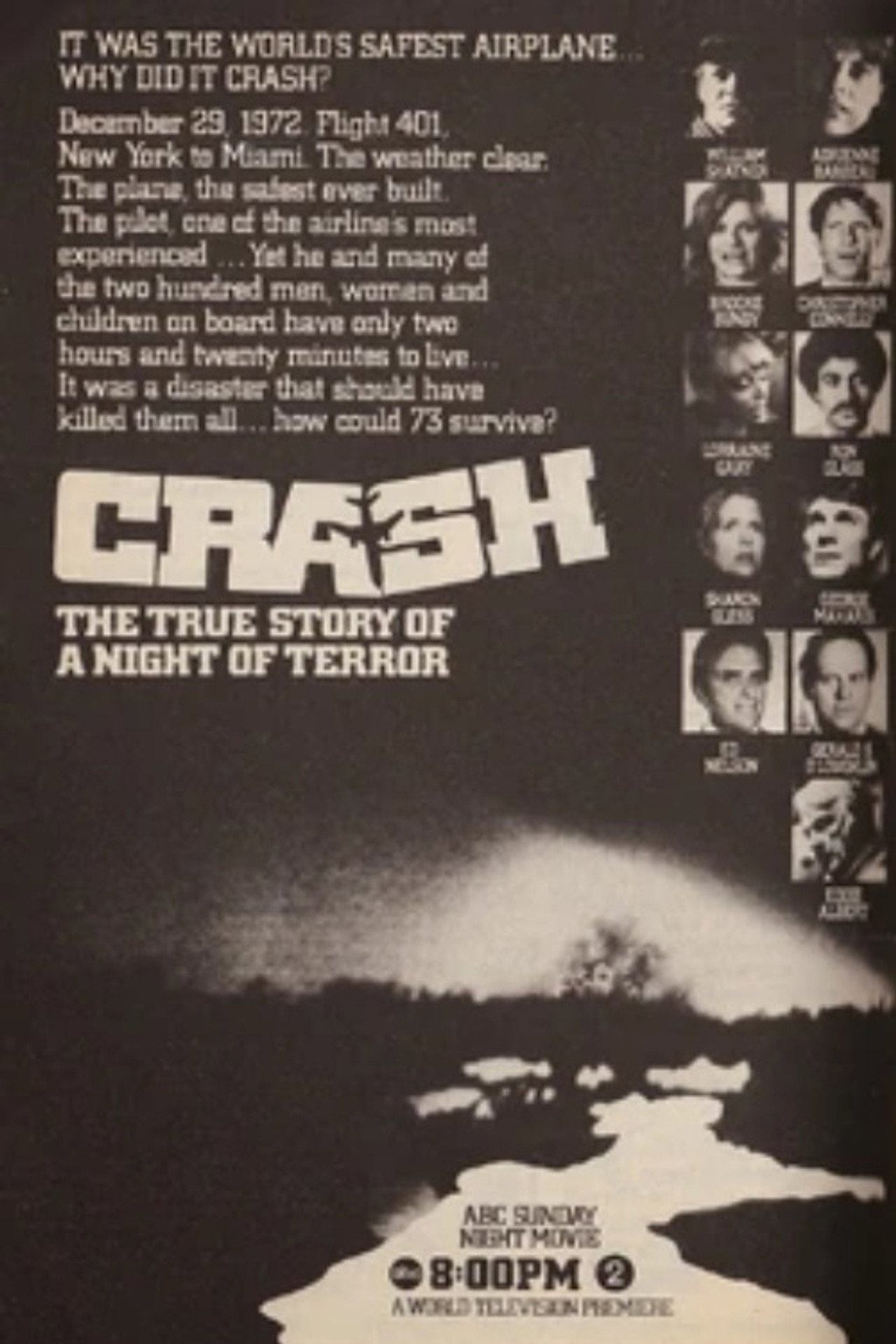 Pôster de The Crash of Flight 401