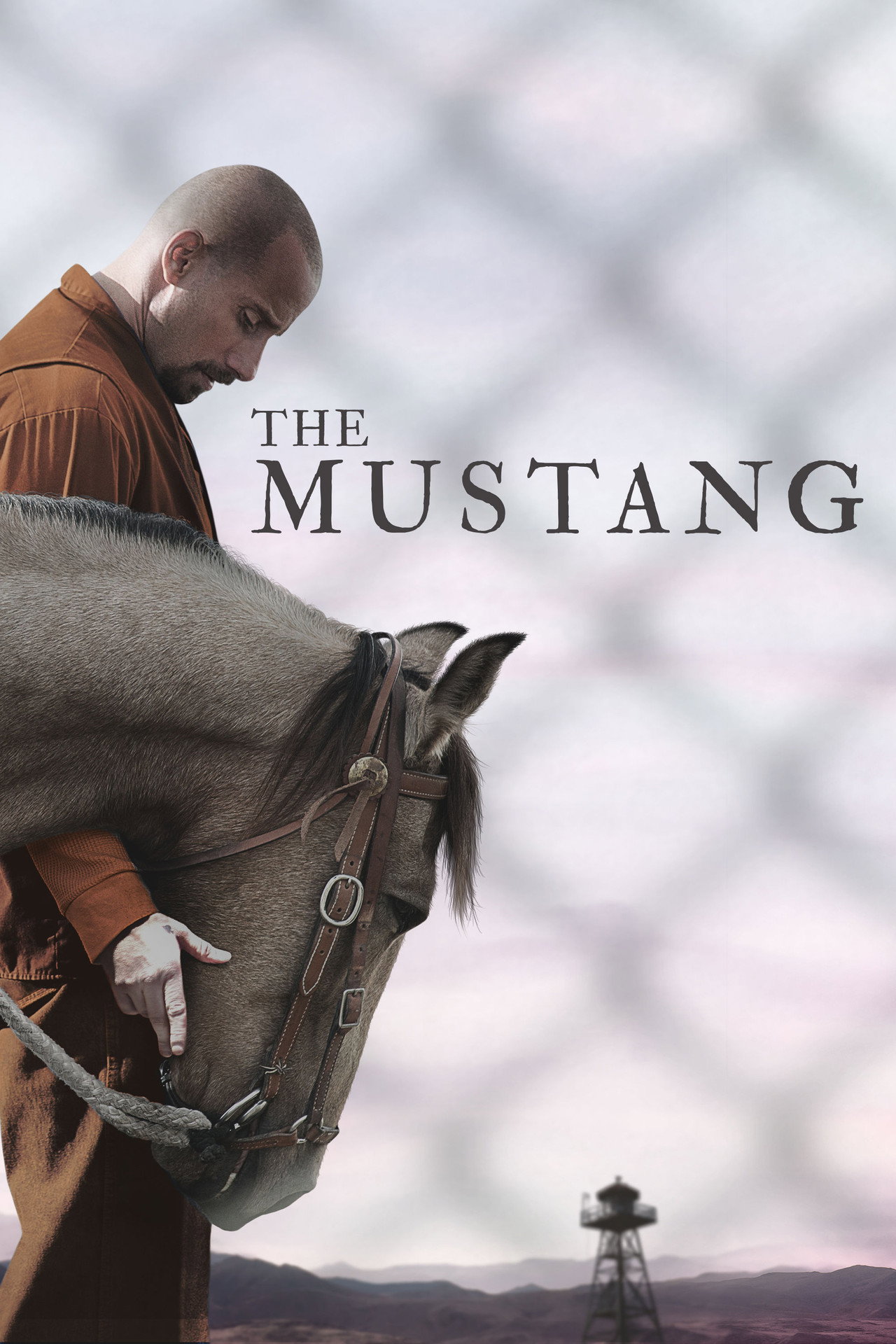 Pôster de The Mustang