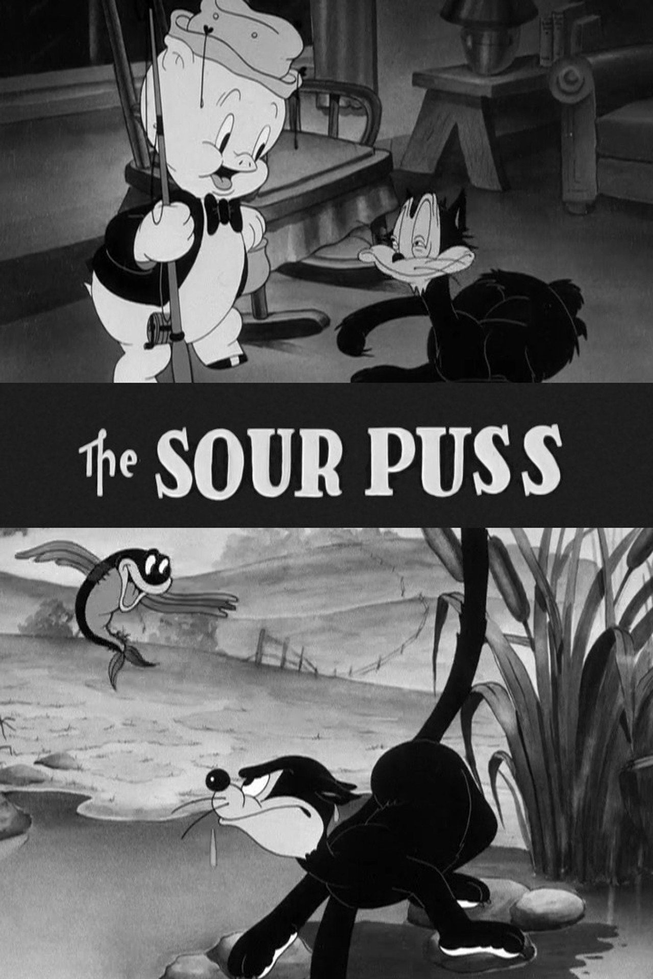 Pôster de The Sour Puss