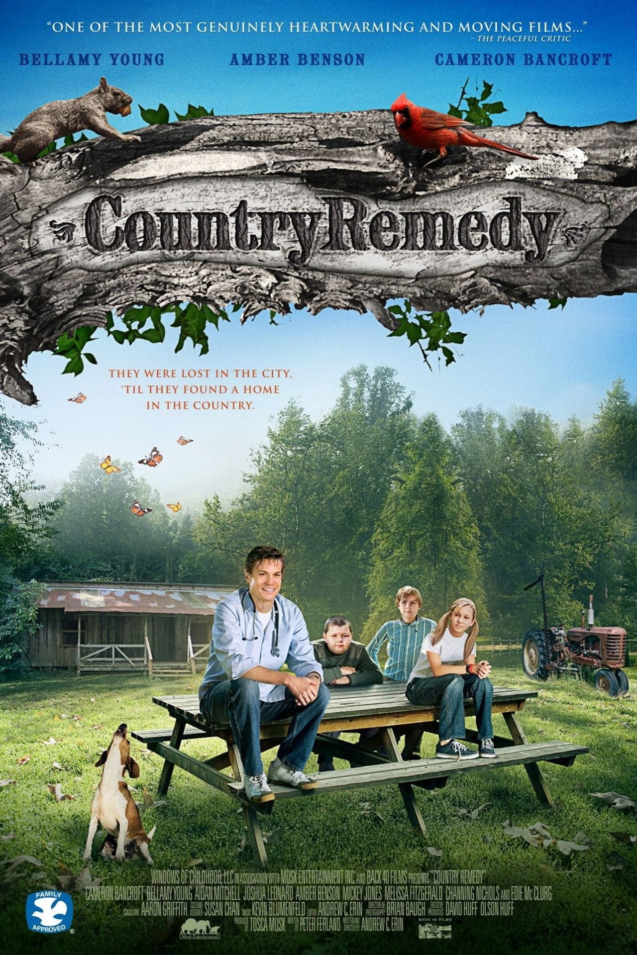 Pôster de Country Remedy