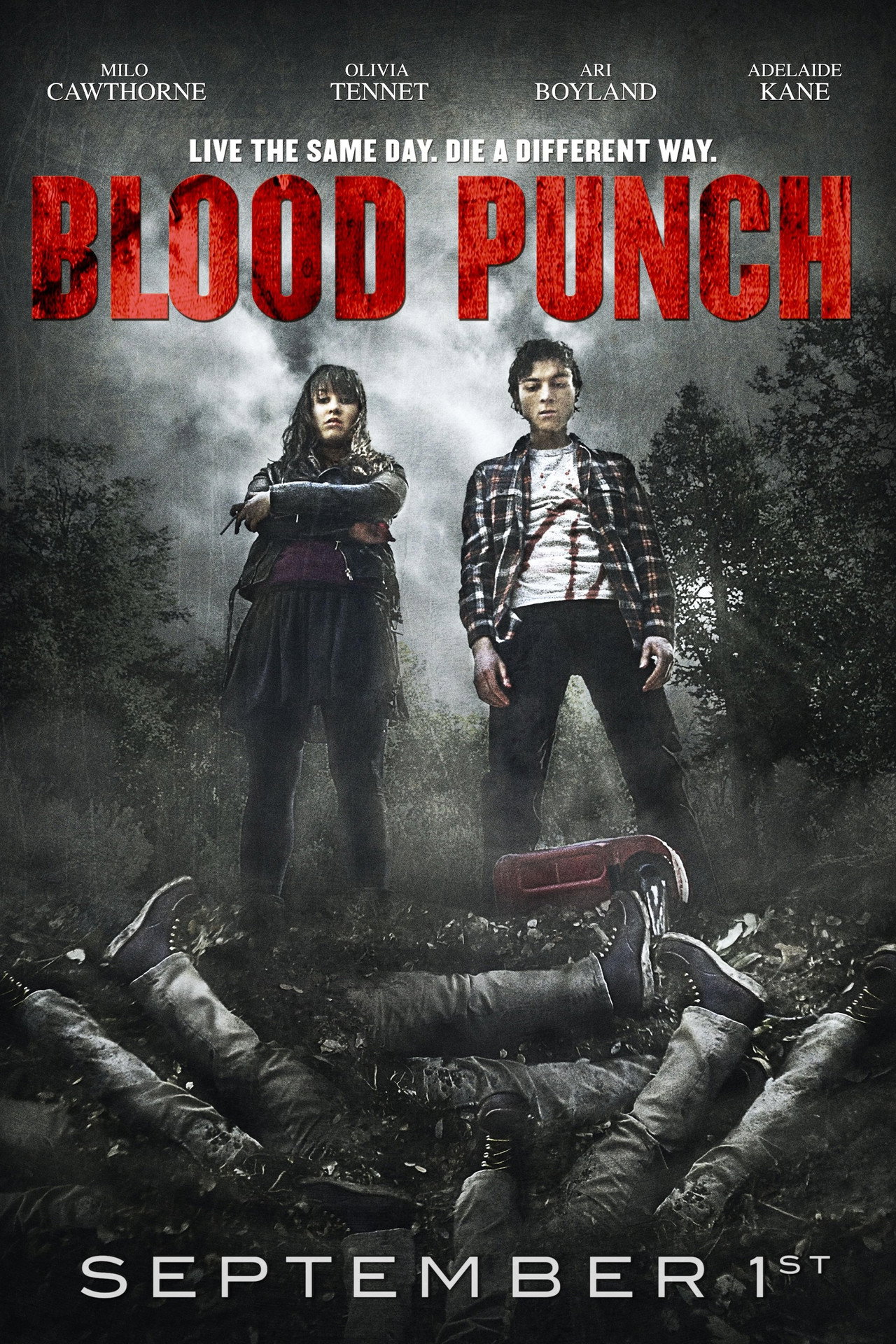 Pôster de Blood Punch