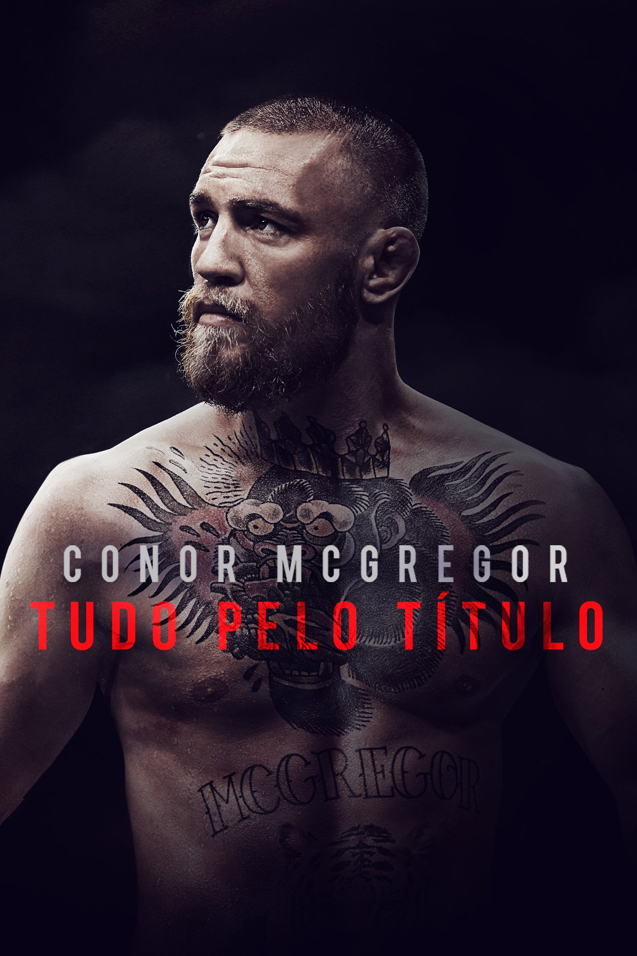 Pôster de Conor McGregor: Tudo Pelo Título