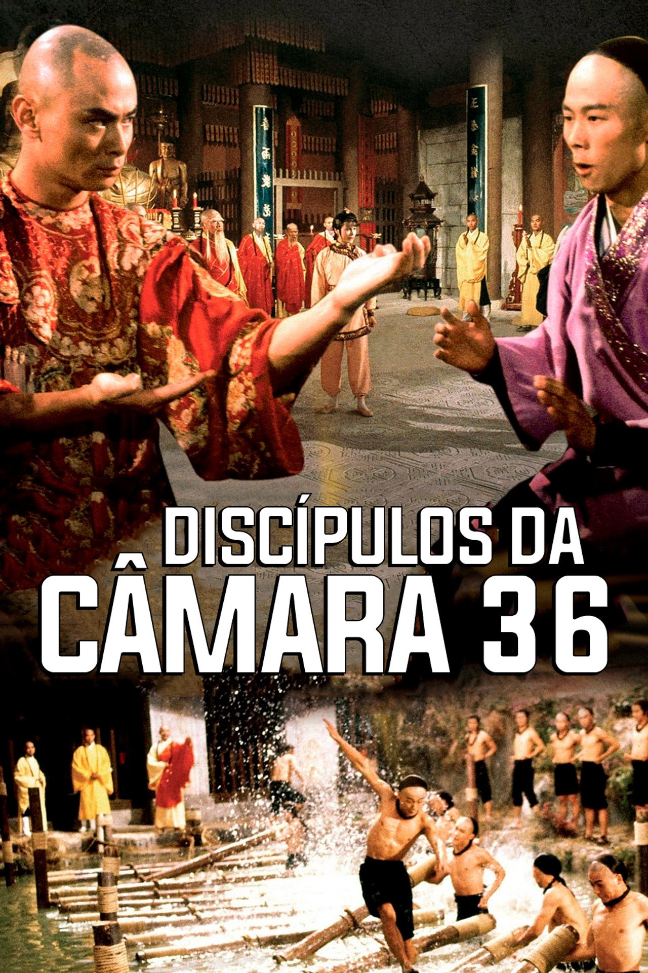 Pôster de Discípulos da Câmara 36