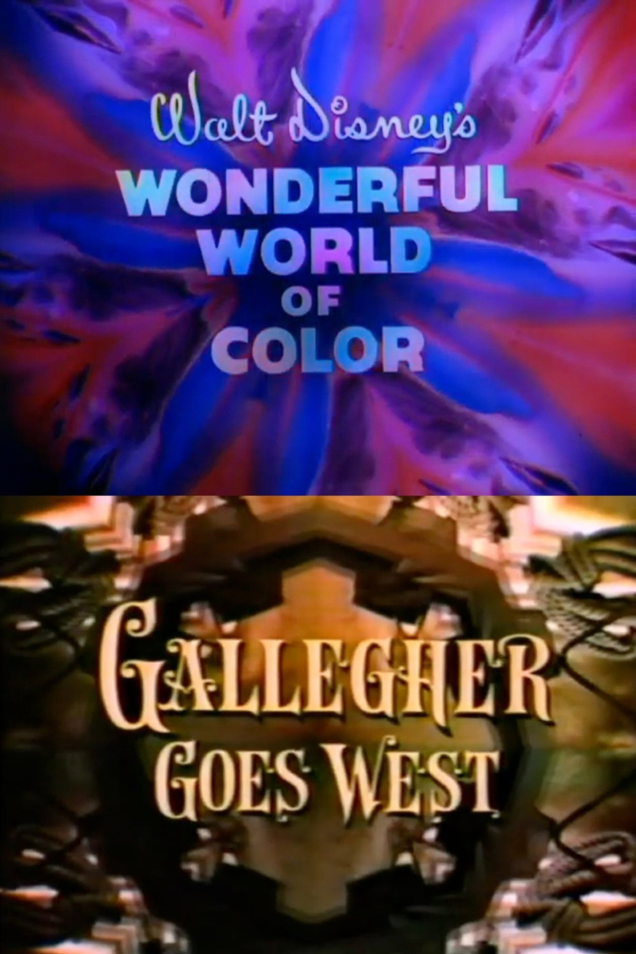 Pôster de Gallegher Goes West