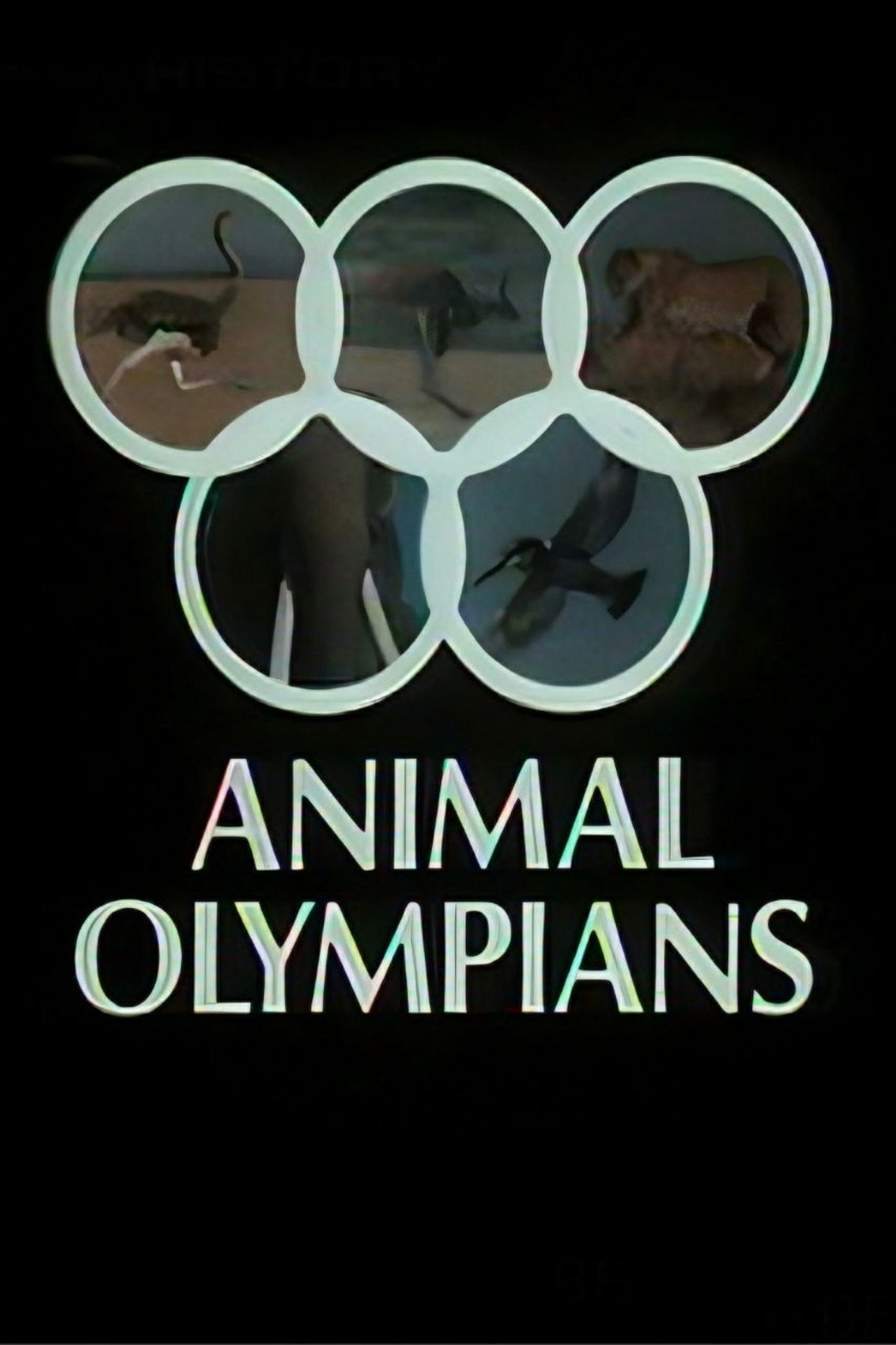 Pôster de Animal Olympians