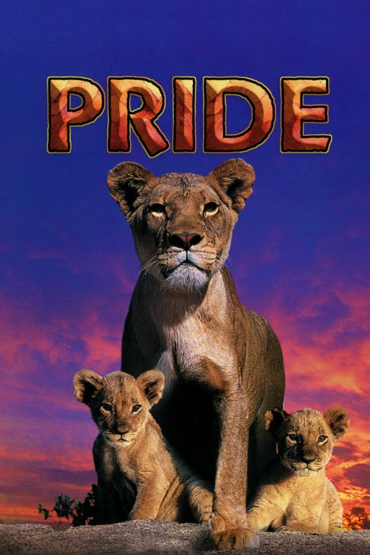 Pôster de Pride