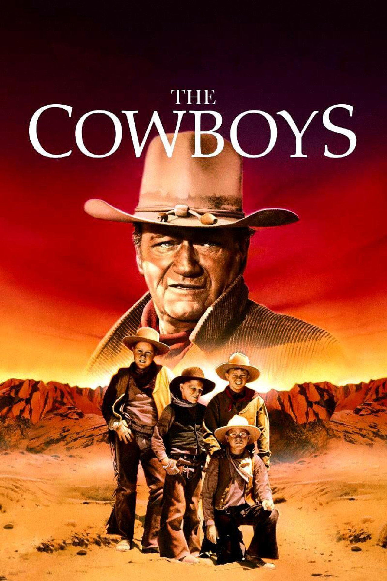 Pôster de The Cowboys