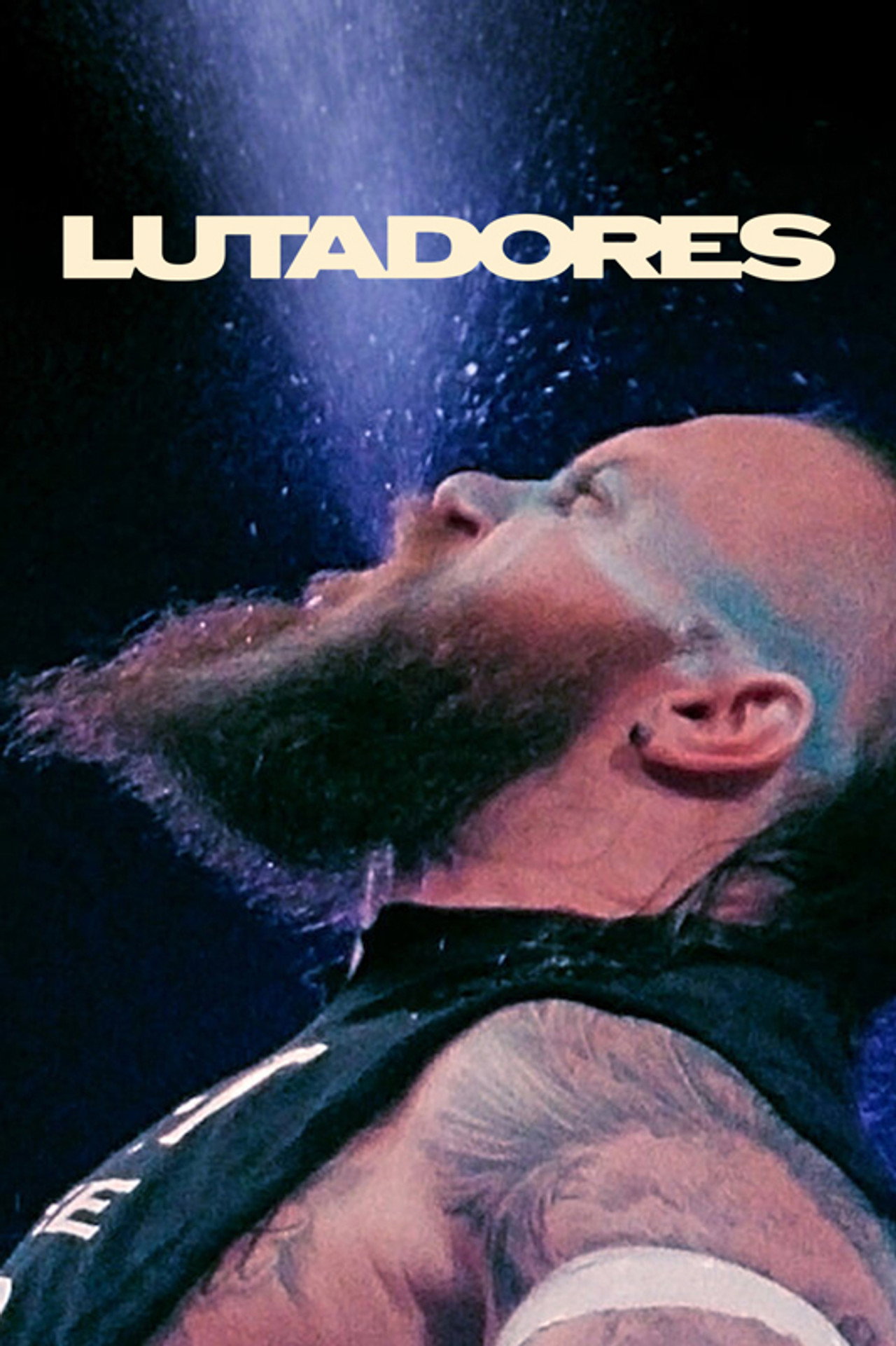 Pôster de Lutadores