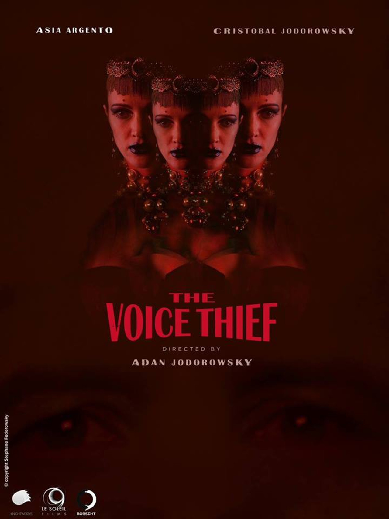 Pôster de The Voice Thief