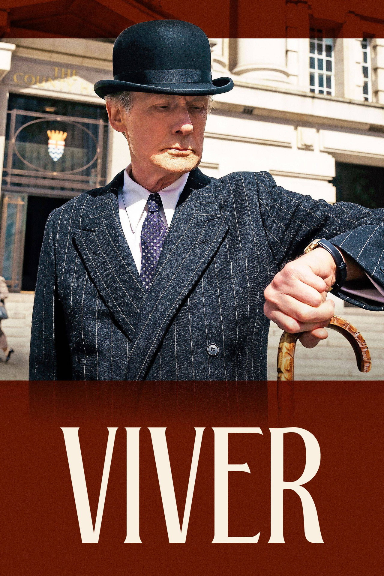 Pôster de Viver