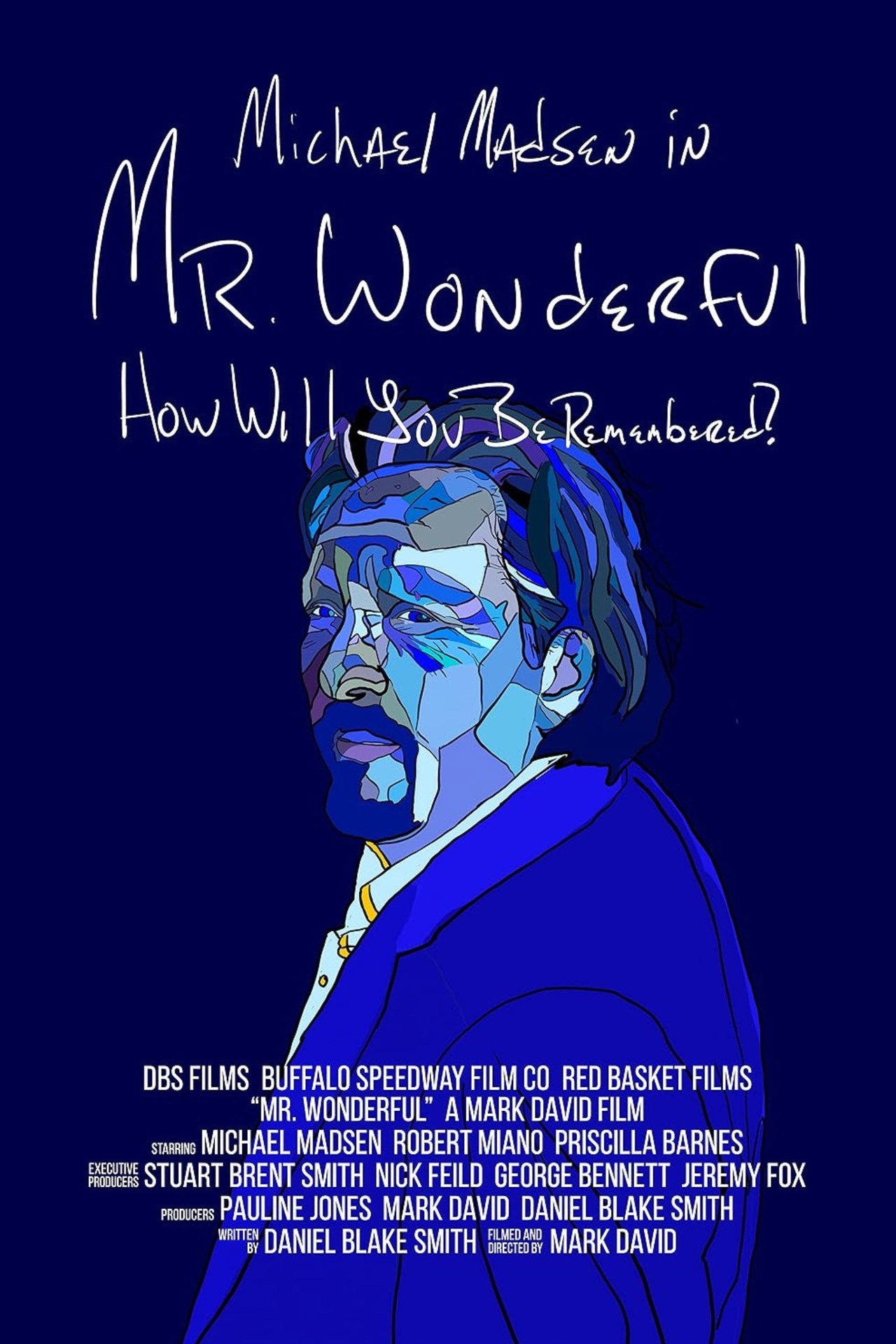 Pôster de Mr. Wonderful