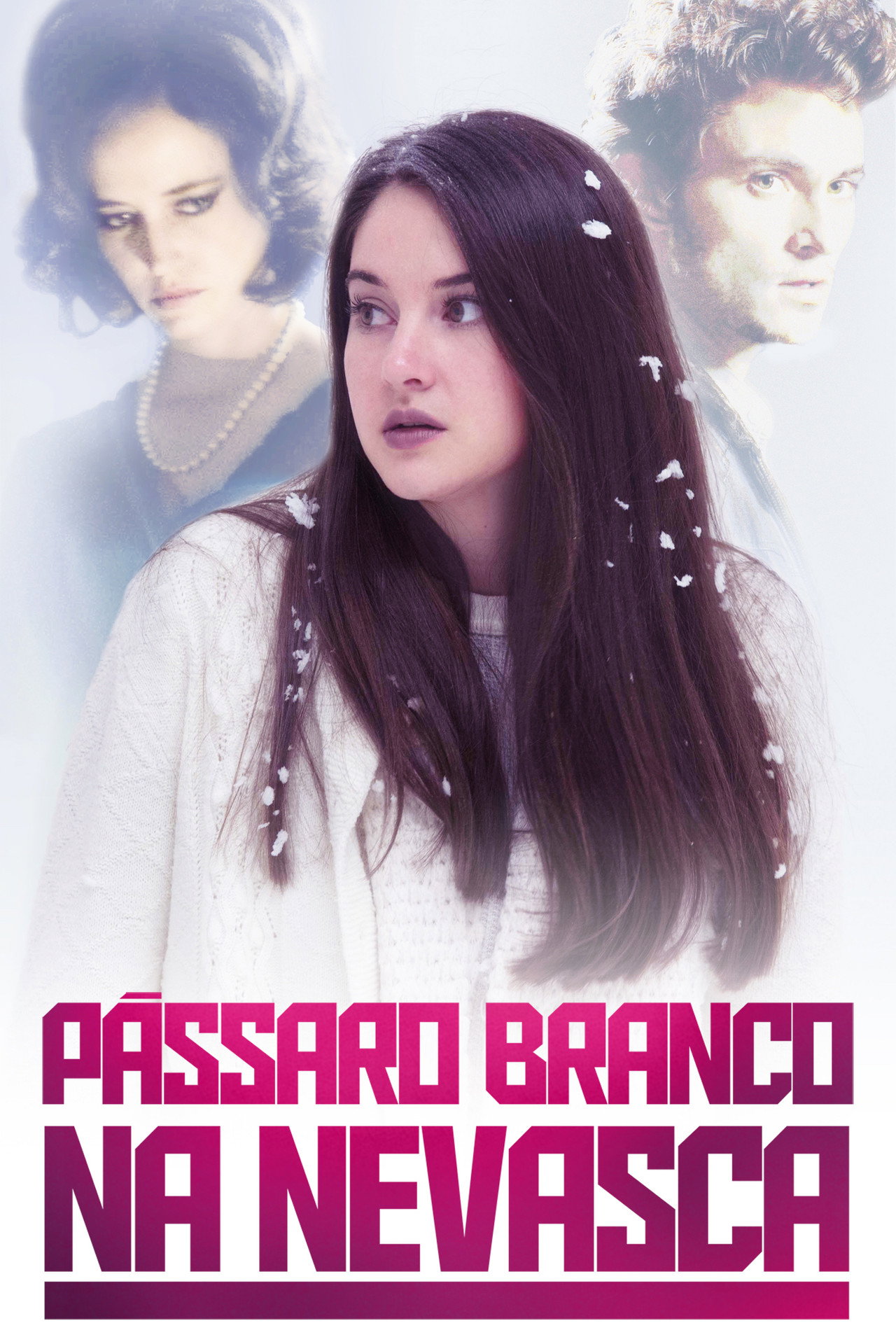 Pôster de Pássaro Branco na Nevasca