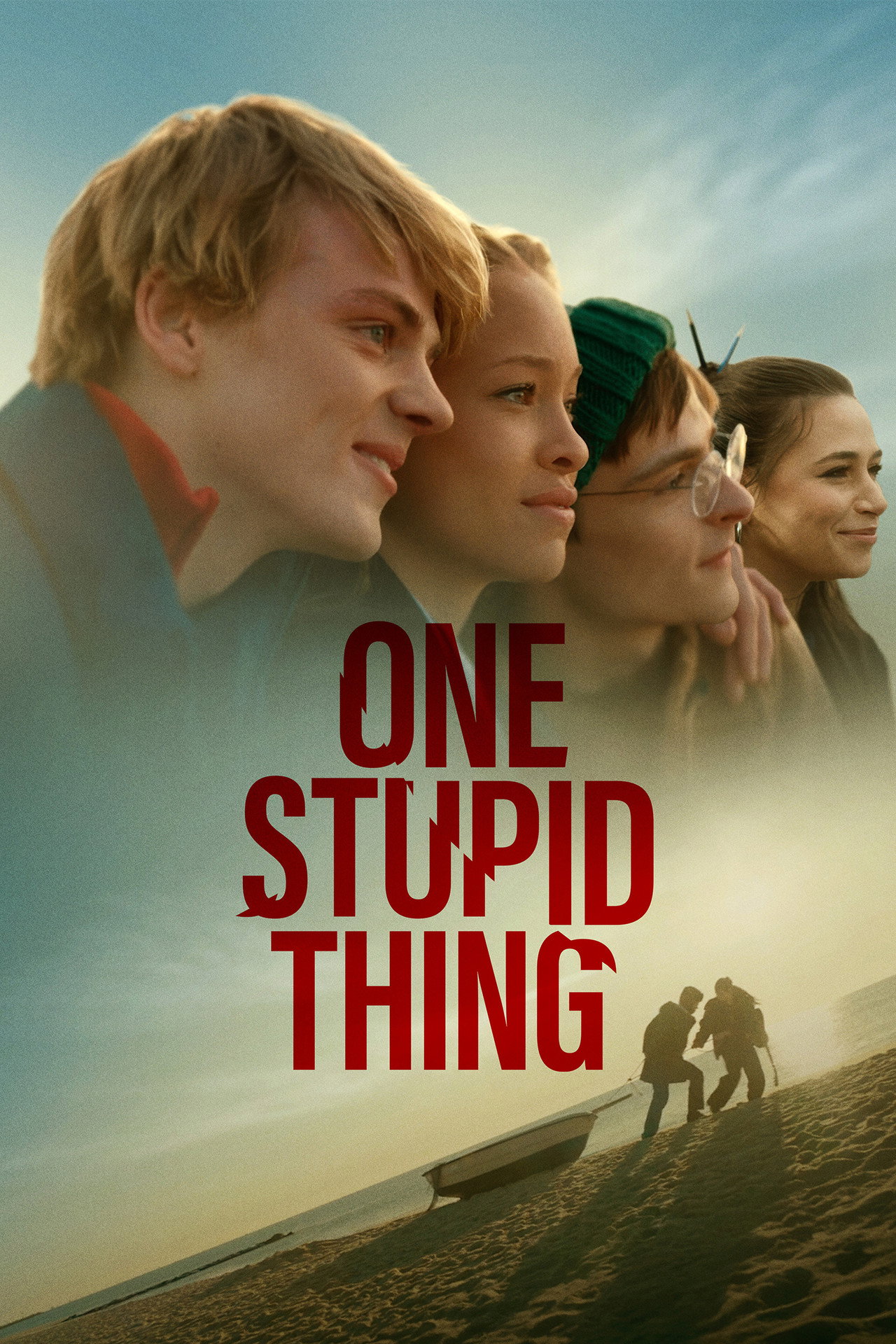 Pôster de One Stupid Thing