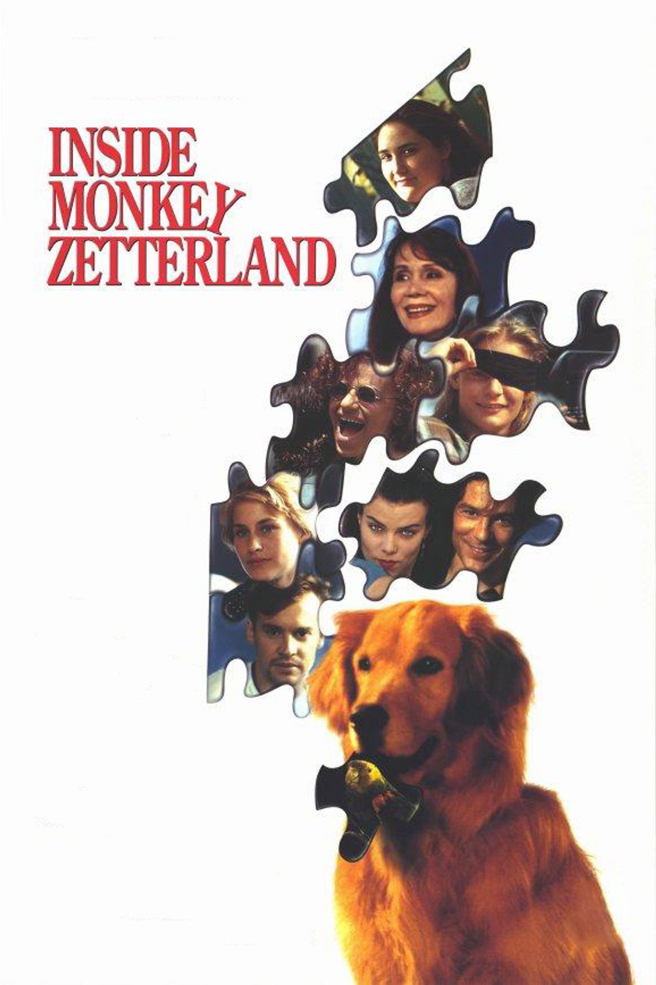 Pôster de Inside Monkey Zetterland
