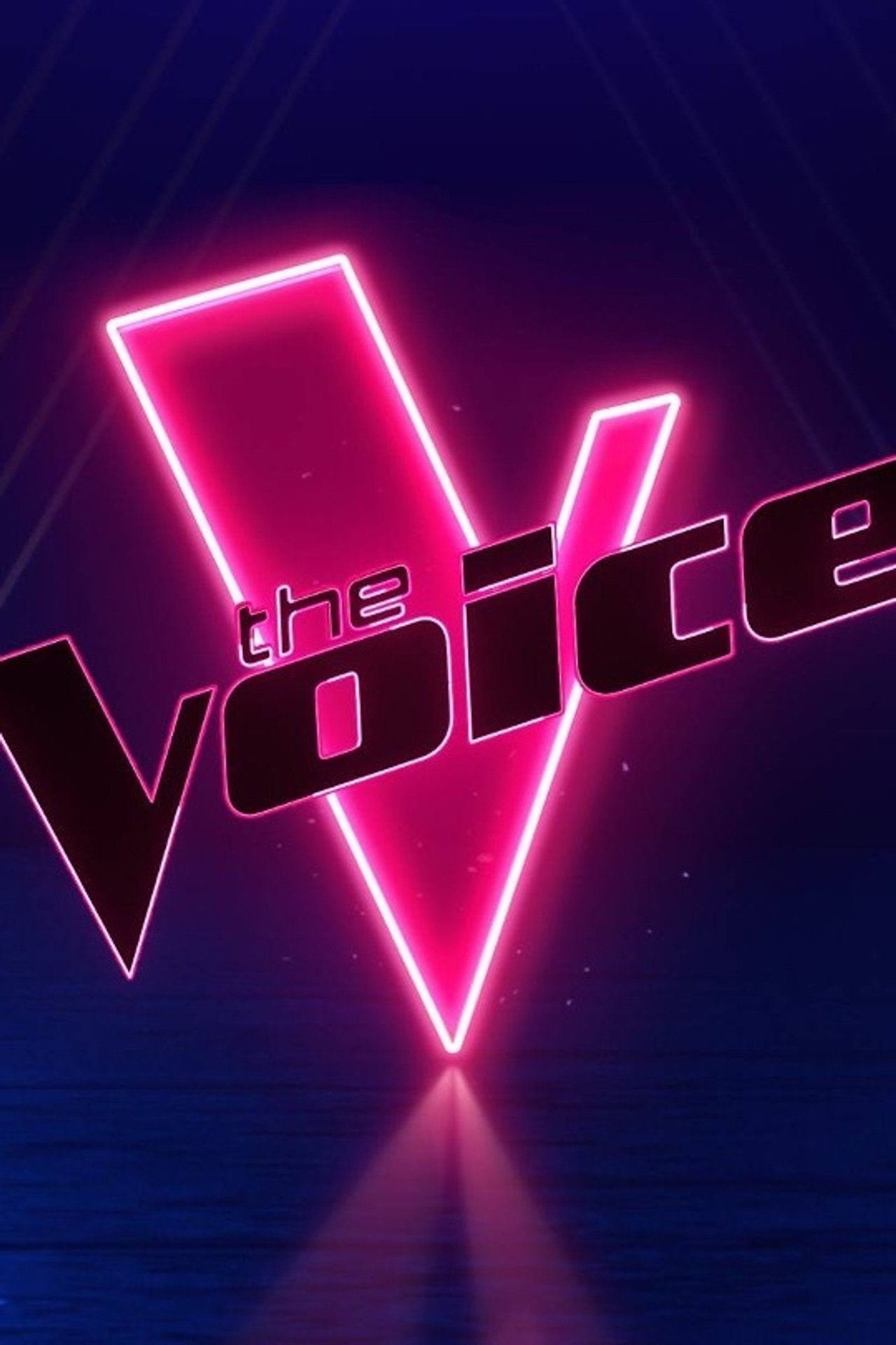 Pôster de The Voice