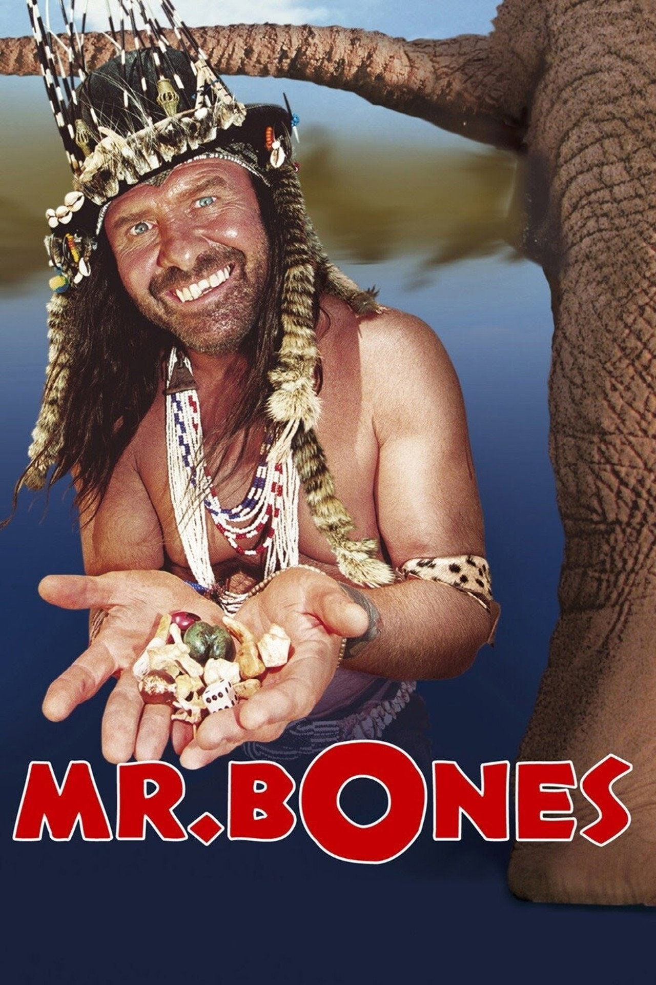 Pôster de Mr. Bones