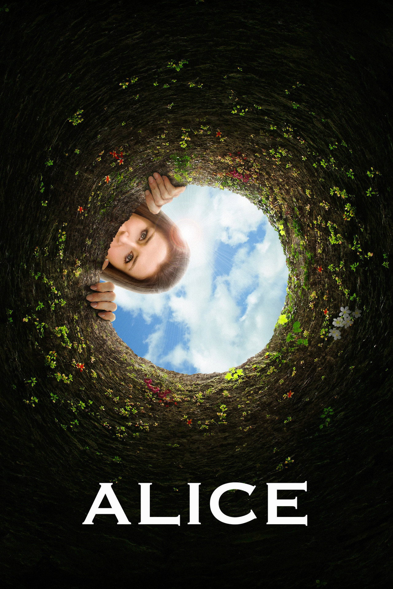 Pôster de Alice e o Novo País das Maravilhas