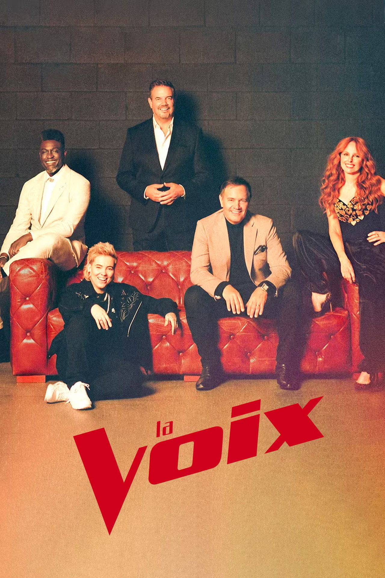 Pôster de La Voix