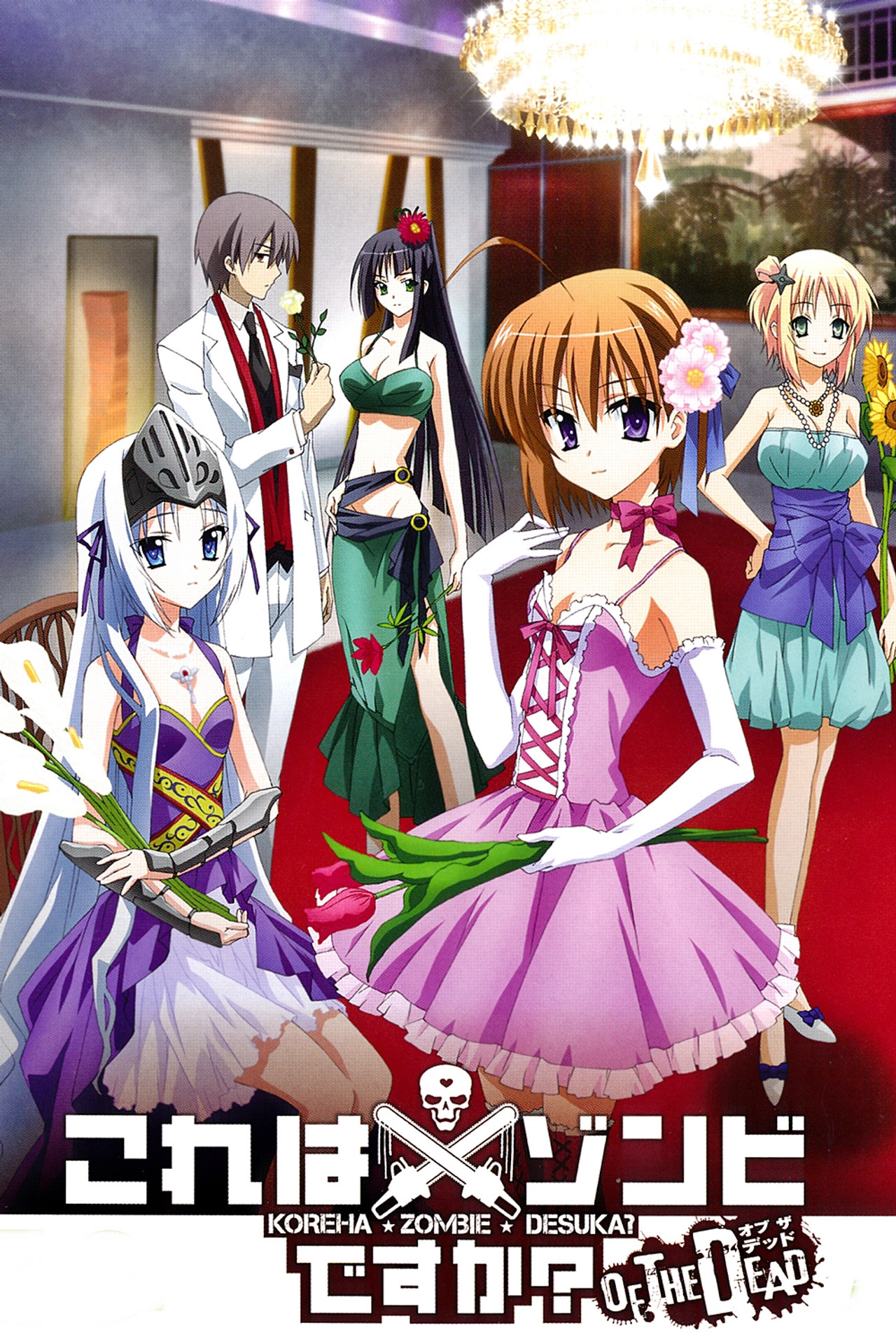 Pôster de Kore wa Zombie Desu ka?