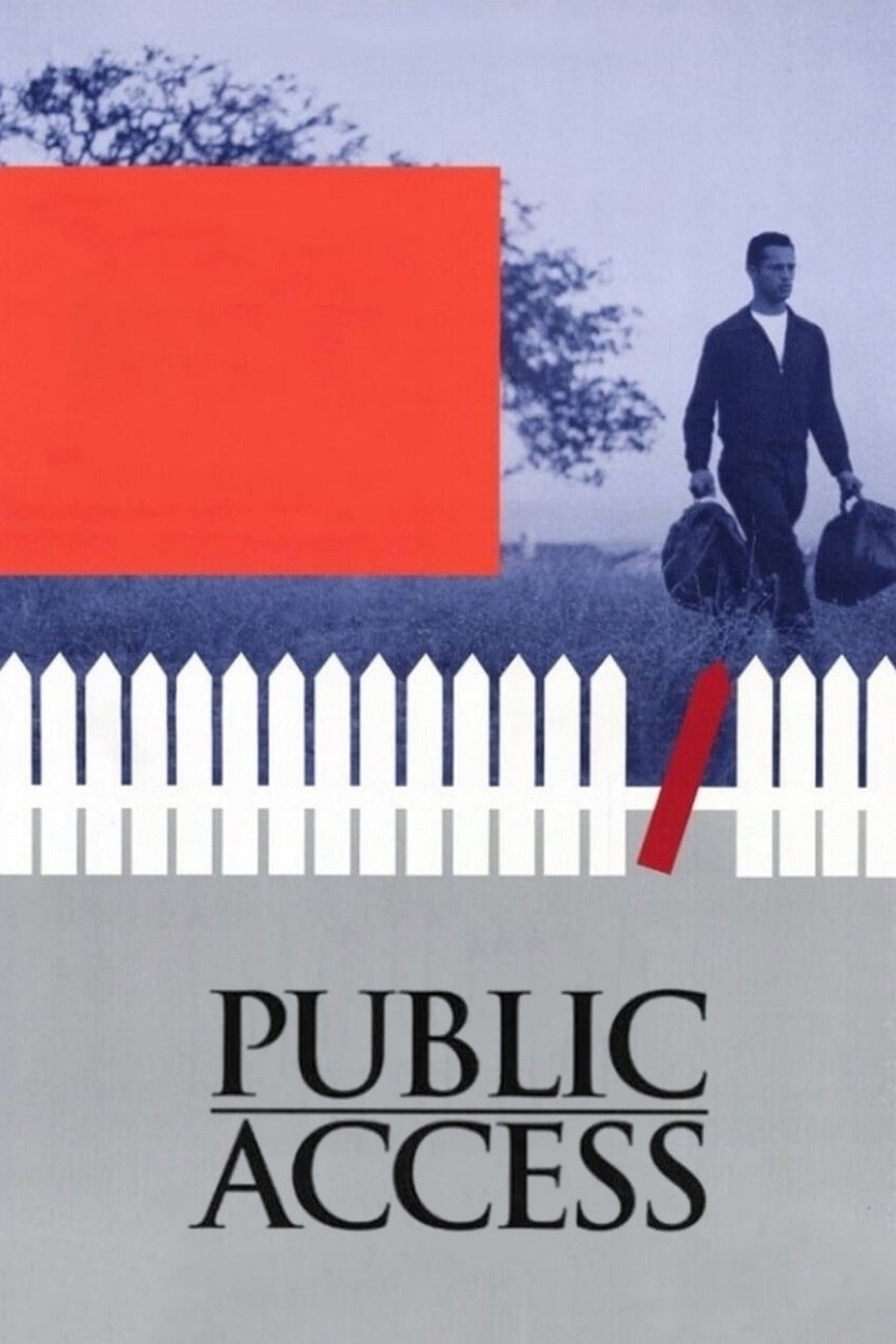 Pôster de Public Access