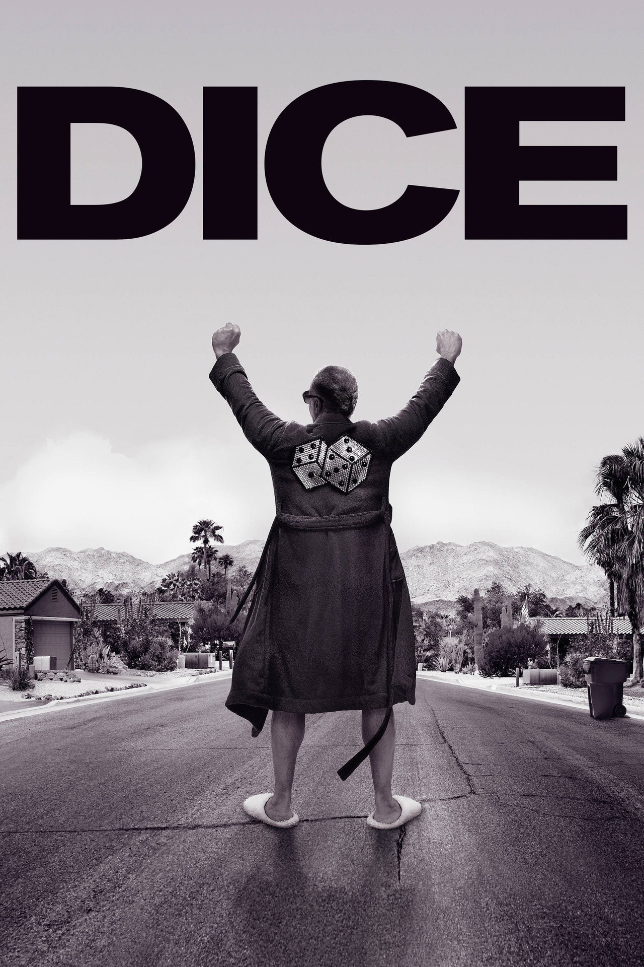 Pôster de Dice