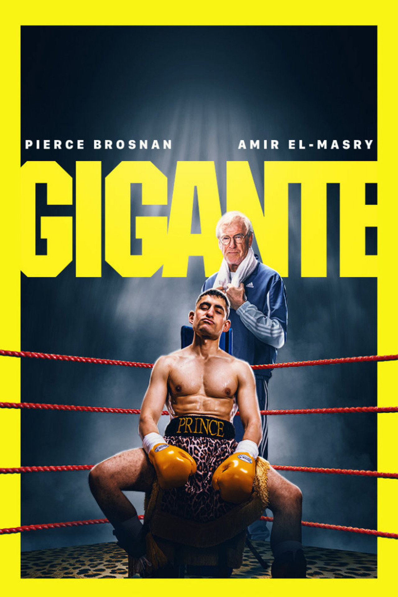 Pôster de Giant