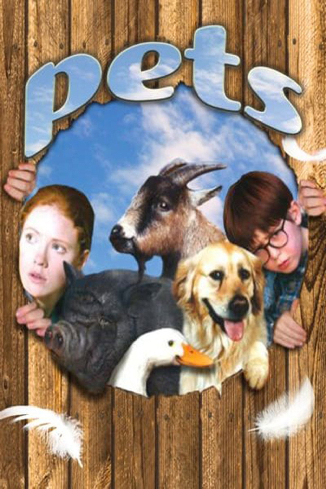Pôster de Pets