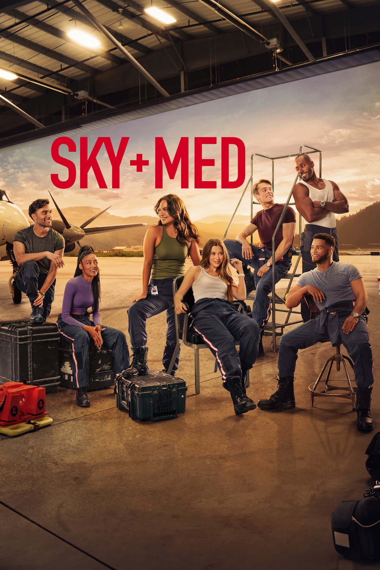 Pôster de SkyMed