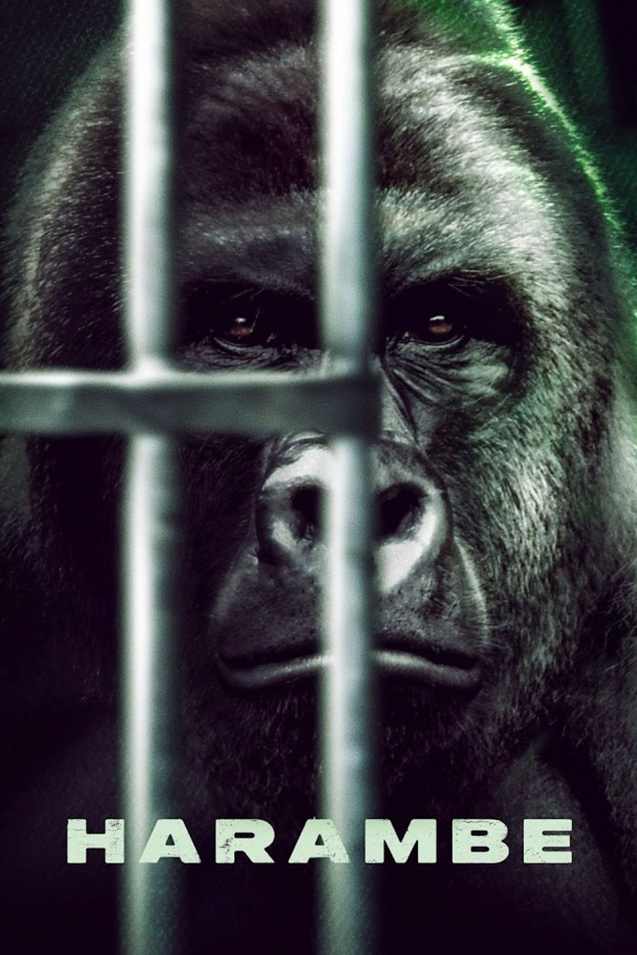 Pôster de Harambe