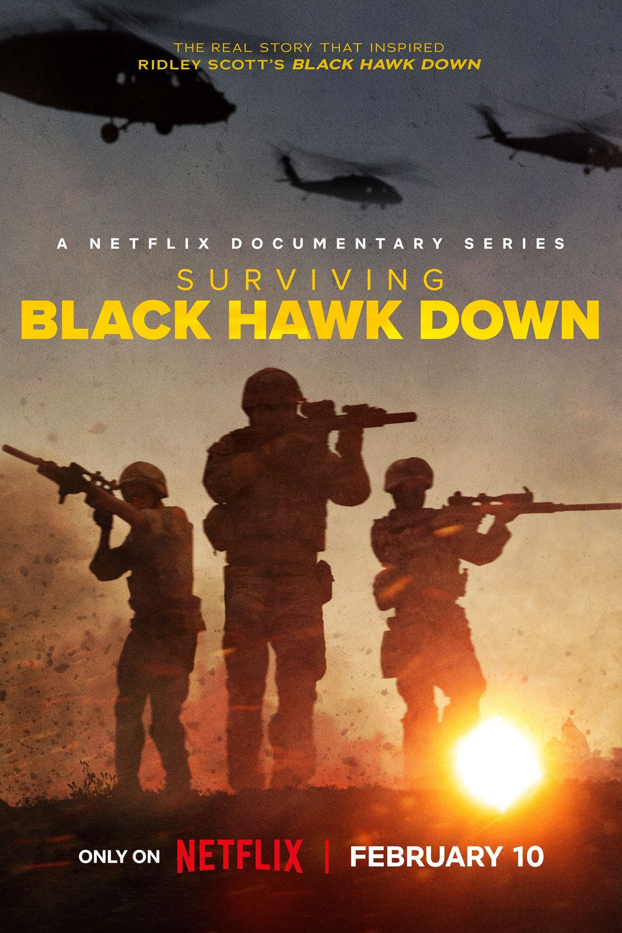 Pôster de Surviving Black Hawk Down