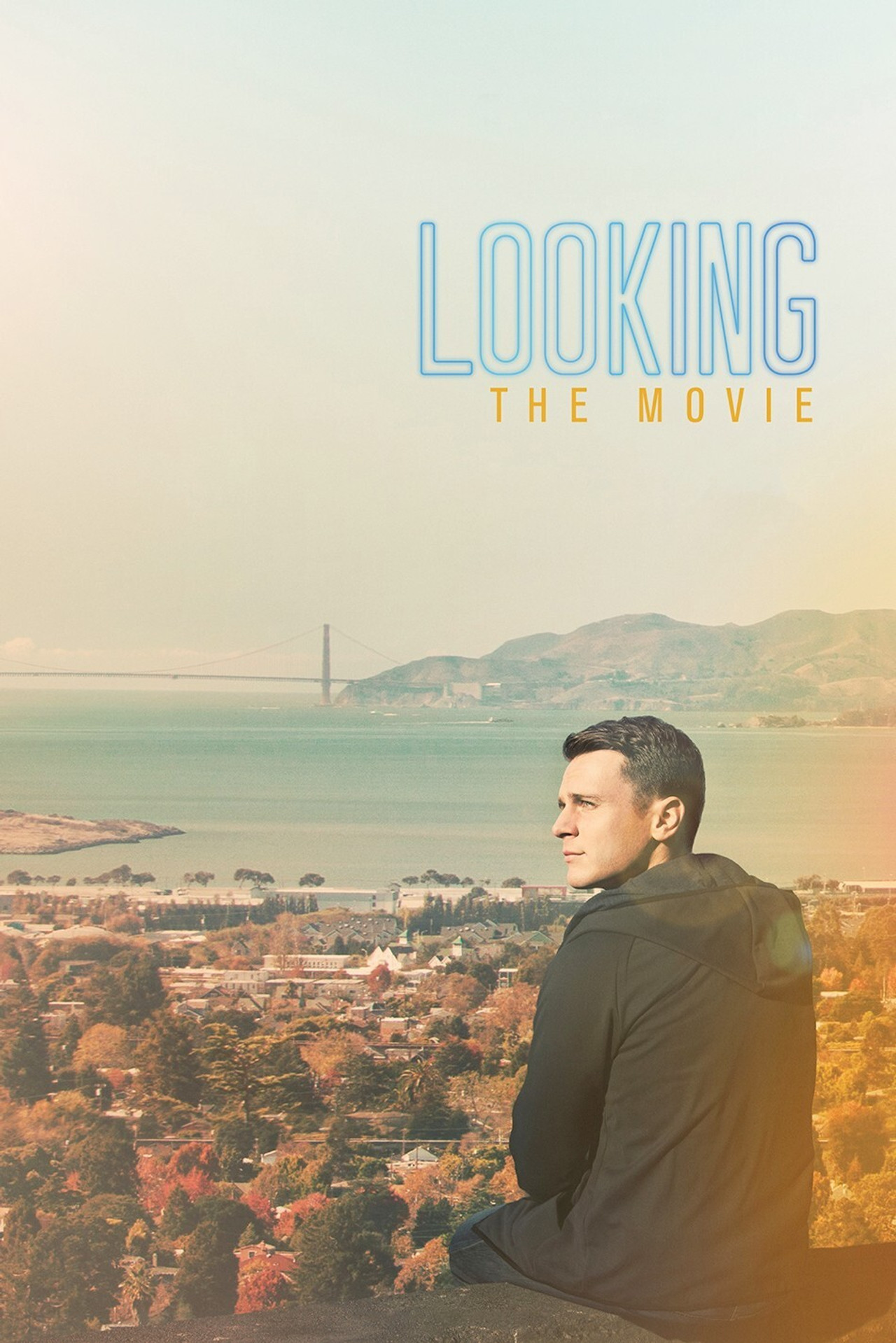 Pôster de Looking: The Movie