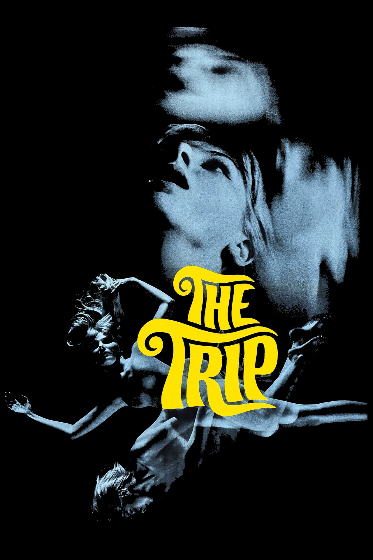 Pôster de The Trip