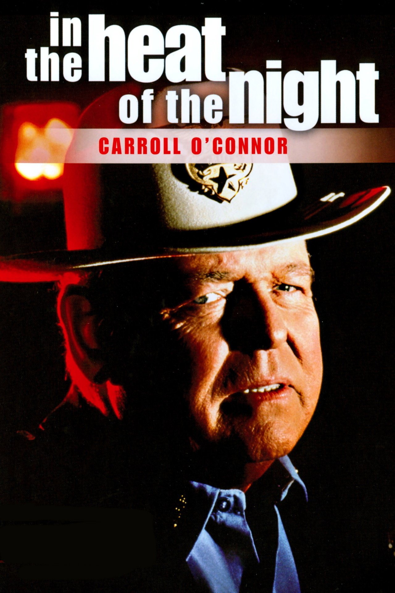 Pôster de In the Heat of the Night