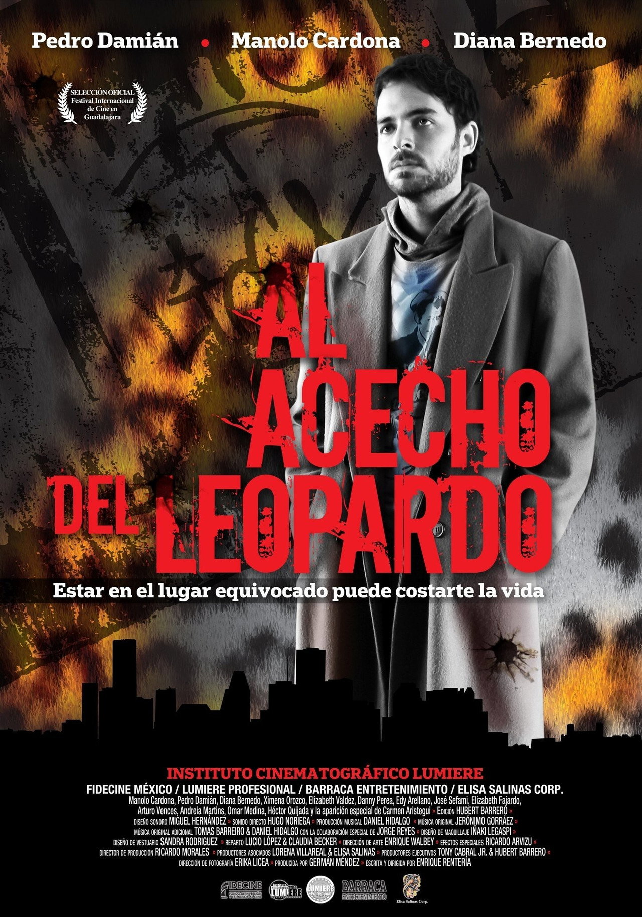 Pôster de Al acecho del leopardo