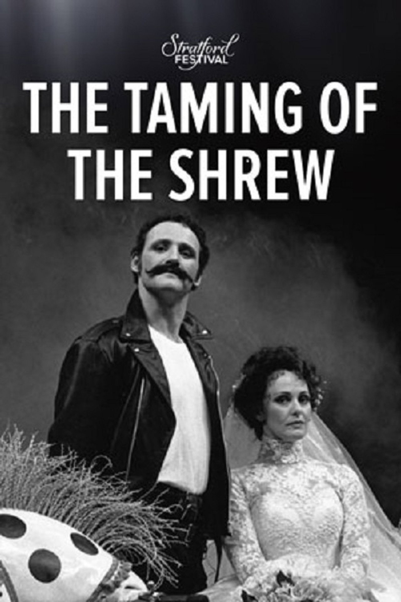 Pôster de The Taming of the Shrew
