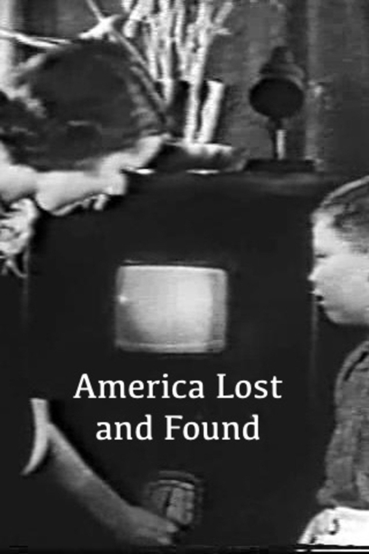 Pôster de America Lost and Found