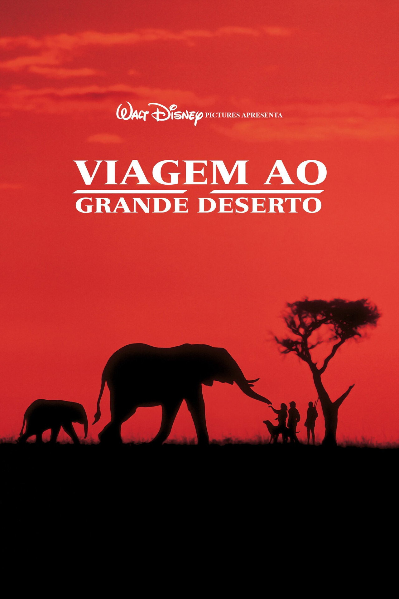 Pôster de Viagem ao Grande Deserto